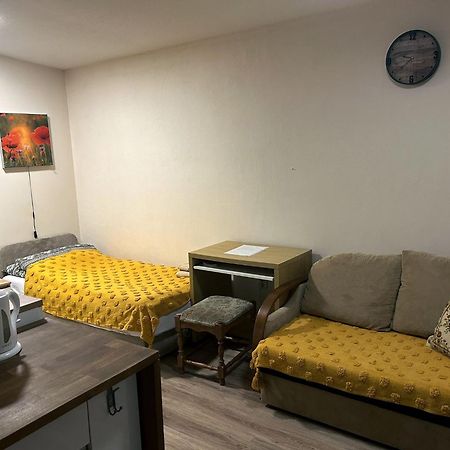 Nowoczesne Studio Z Ogrodem I Parkingiem Poznan Dış mekan fotoğraf